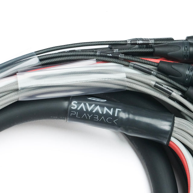 Savant-32S 32 Channel Audio Splitter